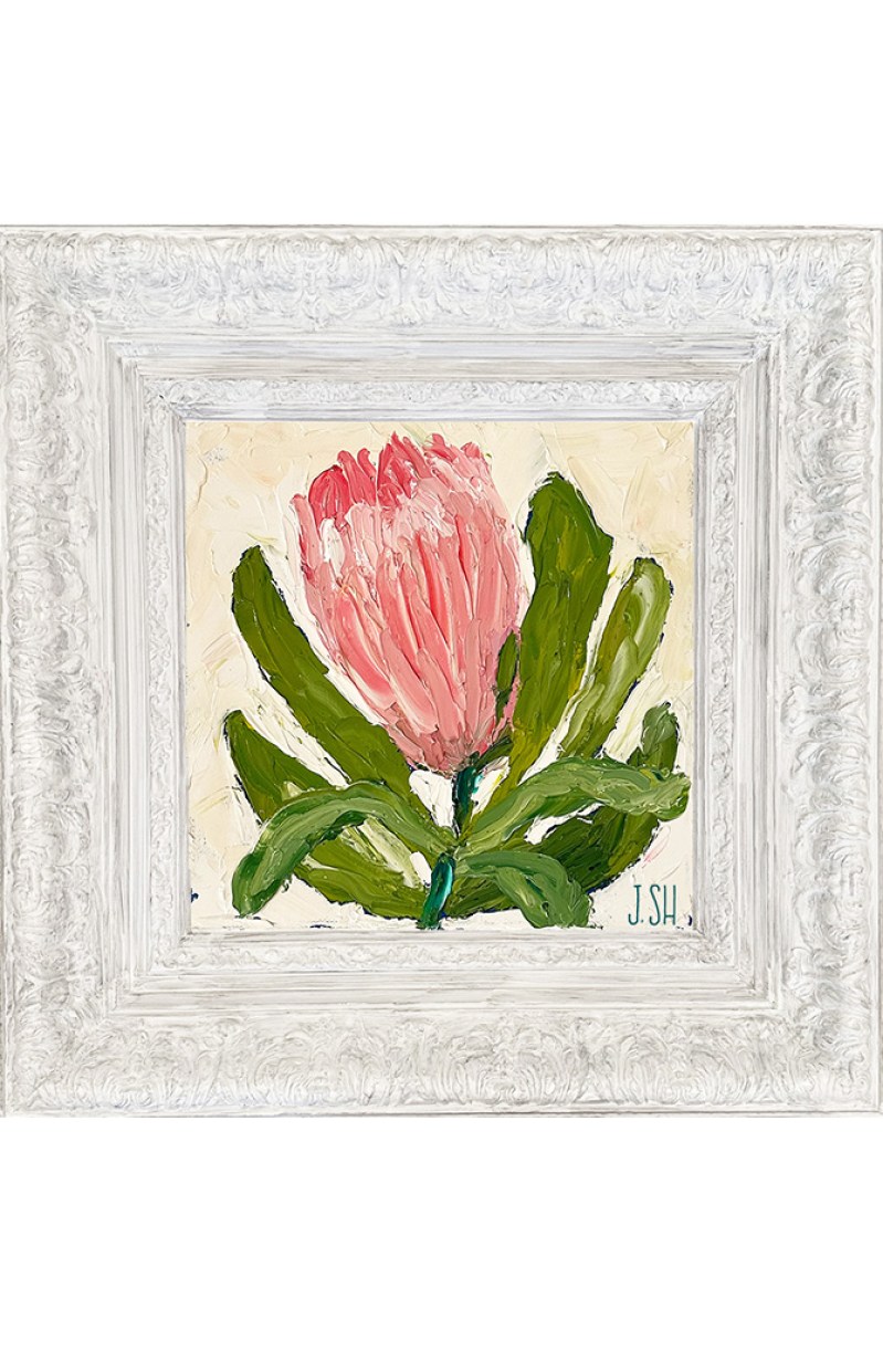 Protea Flower frame